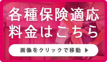 各種保険適応料金